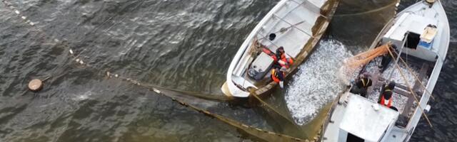 В Эстонии планируют провести реформу прибрежного рыболовства