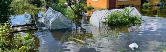 Нарвитяне боятся, что садоводческие товарищества вновь затопит