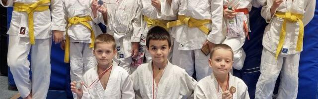 Дзюдоисты из спортшколы «Энергия» завоевали 13 медалей на «Осеннем турнире»