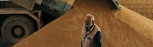 Россия подала в суд на Сирию из-за зерна