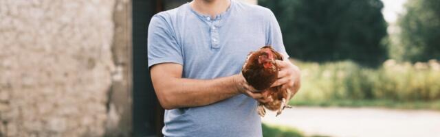 Производитель яиц поднял цены и расширяет производство: «Другого варианта просто нет»