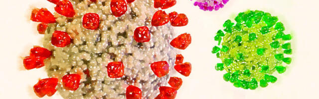 Омикрон в действии: заражаемость растет, смертность падает