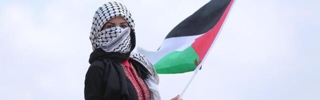 Израиль задержал ряд судов из флотилии с гумпомощью для Газы