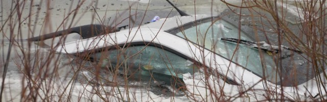 Автомобиль провалился в пруд: погиб мужчина и две собаки