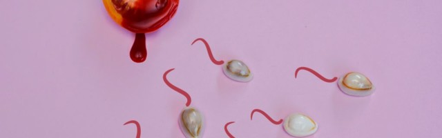 Вакцины против COVID-19 и фертильность: что нужно знать