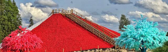 ФОТО: в Эстонии появилась гигантская гора из роз