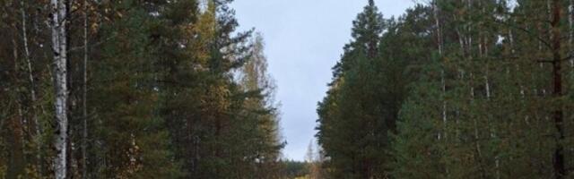 Безопасность важнее экологии: правительство Эстонии ускоряет строительство объезда вокруг Саатсеского сапога