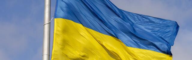 Правда ли, что Украина занимает 90-е место в мире по уровню IQ?