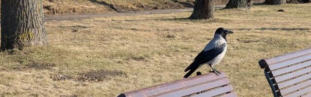 В пятницу ясно, +5...+10