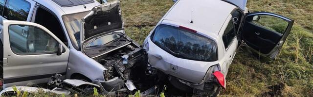 Пожары, ДТП, сбитые животные и мужчина на крыше дома в Ласнамяэ: спасатели Северной Эстонии подводят итоги напряженных дней