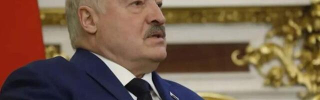 «Жрать будет нечего»: Лукашенко потребовал остановить падёж скота