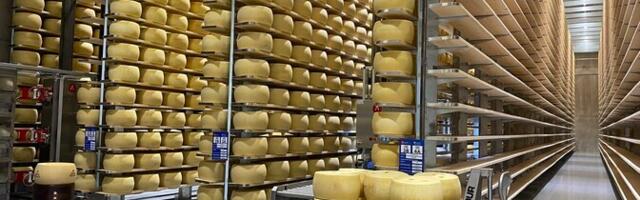 В Выру открыт крупнейший в Северных странах склад для созревания сыра