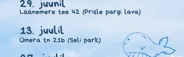 Игровые утренники Ласнамяэ подарят участникам радость совместного времяпровождения