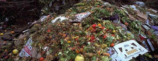 С пищевыми отходами у нас порядок — их много
