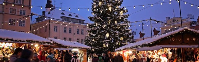 Рождественская ёлка на Ратушной площади появится 19 ноября