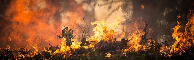 За выходные в Вирумаа потушили 21 травяной пал