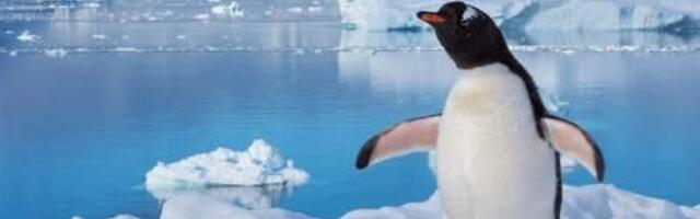 Огромные запасы золота и серебра обнаружили в Антарктиде