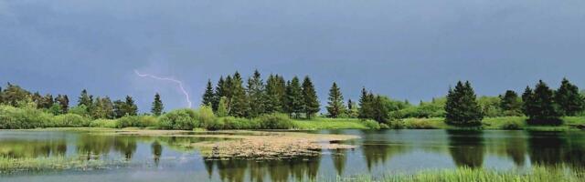 Синоптики прогнозируют в Эстонии дождливые праздники