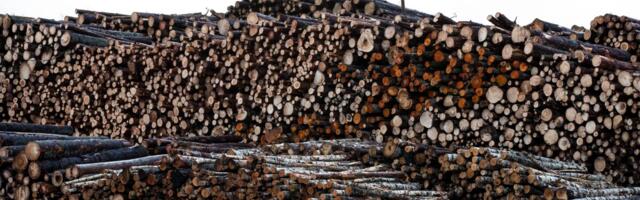 Бюрократия отменяется: «Мы вложили туда огромные деньги, а теперь все равно будем делать по-другому»