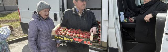 Клубничный бум в Эстонии: продавцы колесят по стране, ящики с ягодой разлетаются за минуты