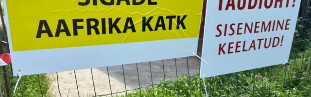 Департамент окружающей среды о вспышке АЧС: квоты на отстрел кабанов были слишком низкими