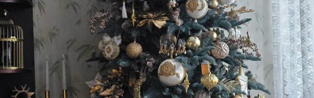 Среди победителей фотоконкурса на самые красивые и оригинально украшенные новогодние ели –  вновь нарвитянка