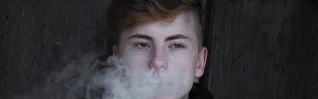 Молодежная программа STEP обращается к работодателям за помощью