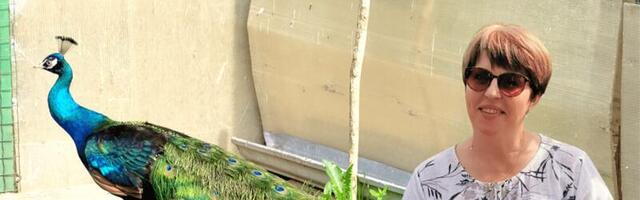 Птичий рай Елены Соловьевой