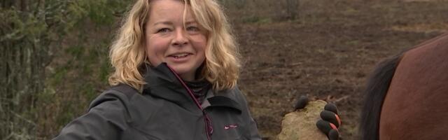 Хищники напугали хозяйство в Муукси в Харьюмаа, охотники бессильны пока не было жертв