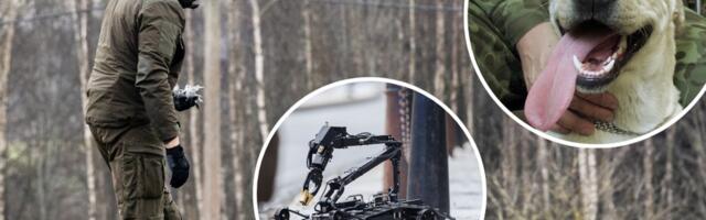 Эксперты: возможности перехвата одиночных дронов в мирное время ограничены