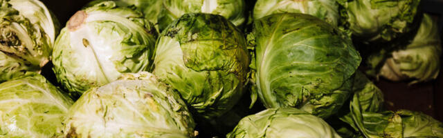 Обзор августовских цен на продукты: овощи, мясо и молоко продолжили дорожать