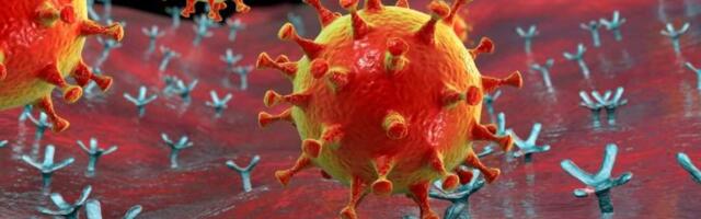 Новый штамм коронавируса быстро распространяется в Европе