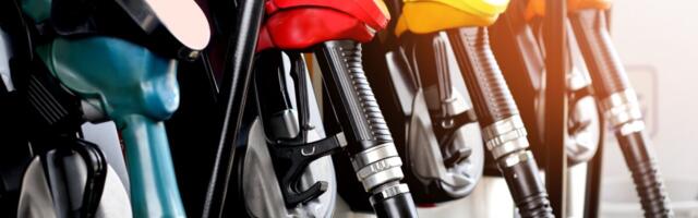 ТОП зарплат: самые щедрые работодатели в сфере торговли