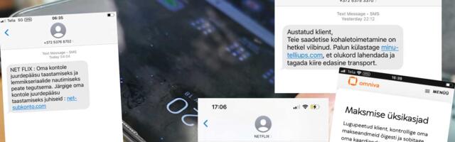 В Эстонии задержан гражданин Франции, подозреваемый в рассылке фишинговых сообщений