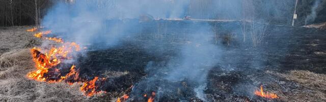 Костры вышли из-под контроля: спасатели тушили траву и спасали лес