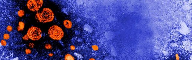 28 июля – Всемирный день борьбы с гепатитом