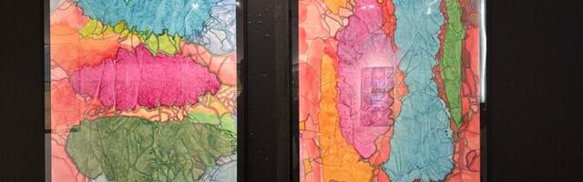 ФОТО: в Рапла открылась обзорная выставка акварелистов, где представлены работы 30 художников