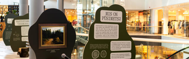 Можно зарабатывать на лесе и не уничтожать его: в Ülemiste Keskus открылась необычная выставка