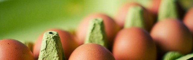 Жители Эстонии съедают в два раза больше куриных яиц, чем производится в стране