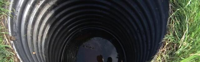 Мистическая трагедия в Литве: в небольшом колодце найдено тело скрипачки 