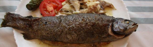 Запекайся, рыбка!