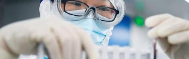 Китайские ученые приблизились к созданию «сыворотки молодости»