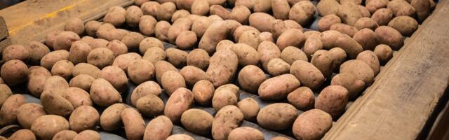 ОБЗОР РЫНКОВ | Цена эстонской картошки за год сильно подскочила