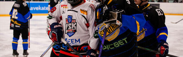 Новым чемпионом Эстонии по хоккею стал "Виру Спутник" из Кохтла-Ярве