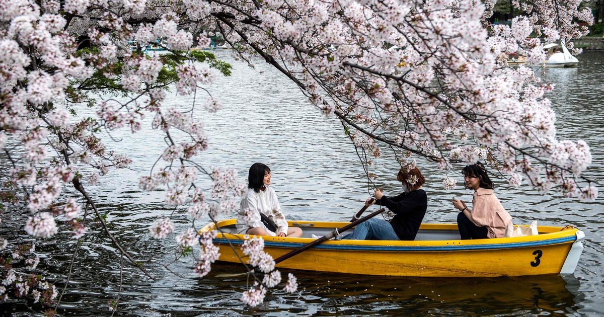 Buen día en japonés