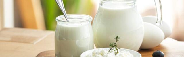 Молочные продукты для организма человека: польза и вред