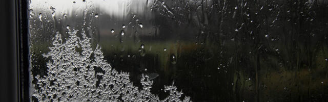 В субботу во многих местах пройдут дождь и мокрый снег, +1..+6