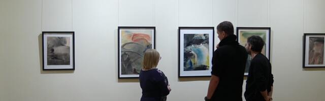 В Силламяэском городском музее открылась выставка Владимира Лисунова