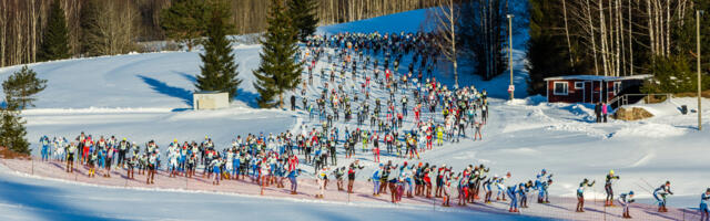 Решено: Тартуский марафон пройдет по оригинальной трассе в полную длину