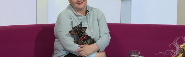 Пражский крысарик со временем из крысолова превратился в диванную собачку